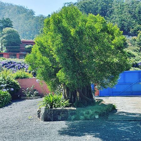 Casa El Porte Tegueste Exteriér fotografie