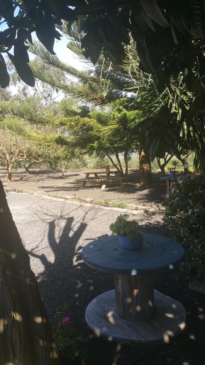 Casa El Porte Tegueste Exteriér fotografie